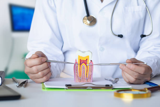 Best Emergency Treatment for Dental Infections or Abscesses in Malvern, OH